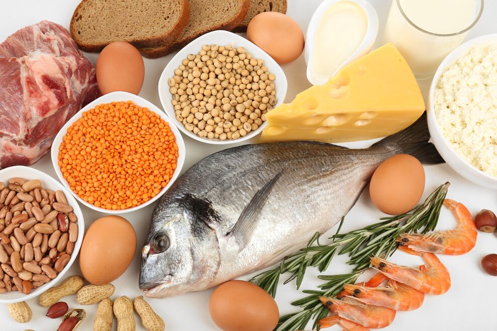 Features of a protein diet